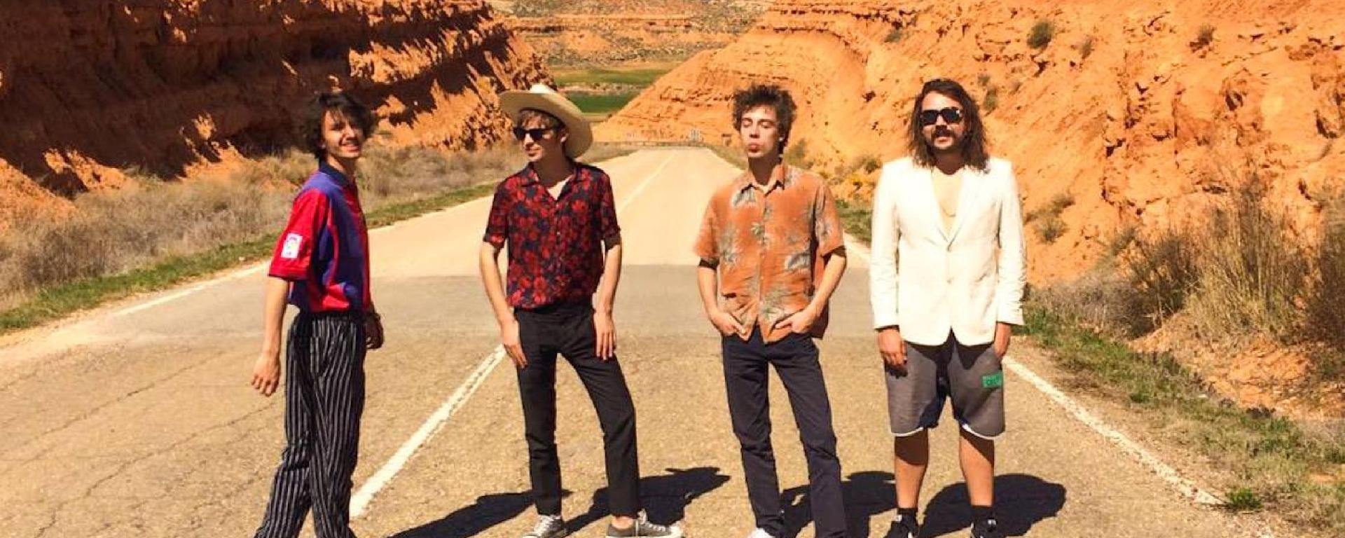 the-mauskovic-dance-band