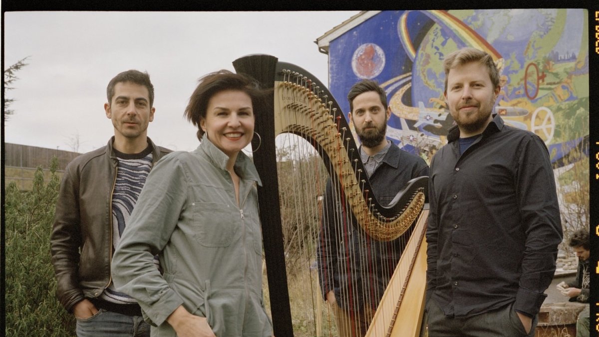 Alina Bzhezhinska HipHarp Collective