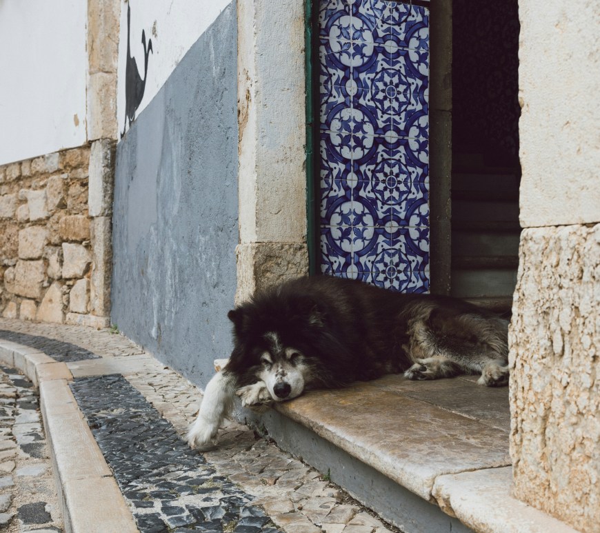 Foto de KOBU Agency na Unsplash